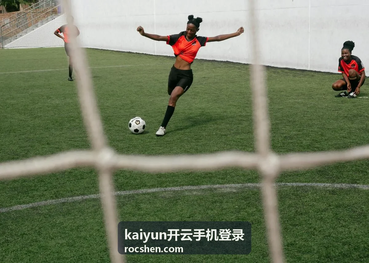 kaiyun开云手机登录账号安全验证的验证码接收排查示意